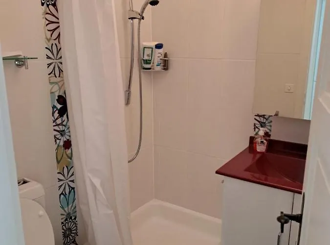 Les Dauphinelles By Interhome Apartment *